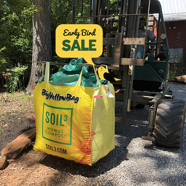 Big yellow outlet bags